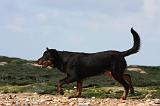 BEAUCERON 707